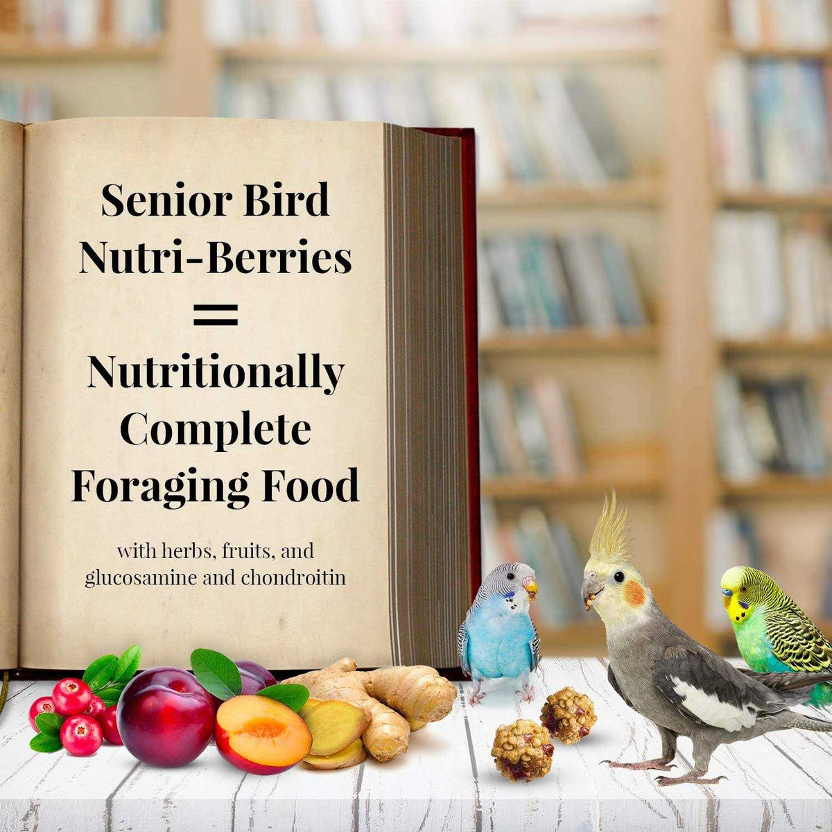 Senior Bird Nutri Berries Parrot Food G145
