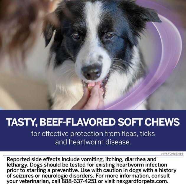 Chew for Dogs I794919