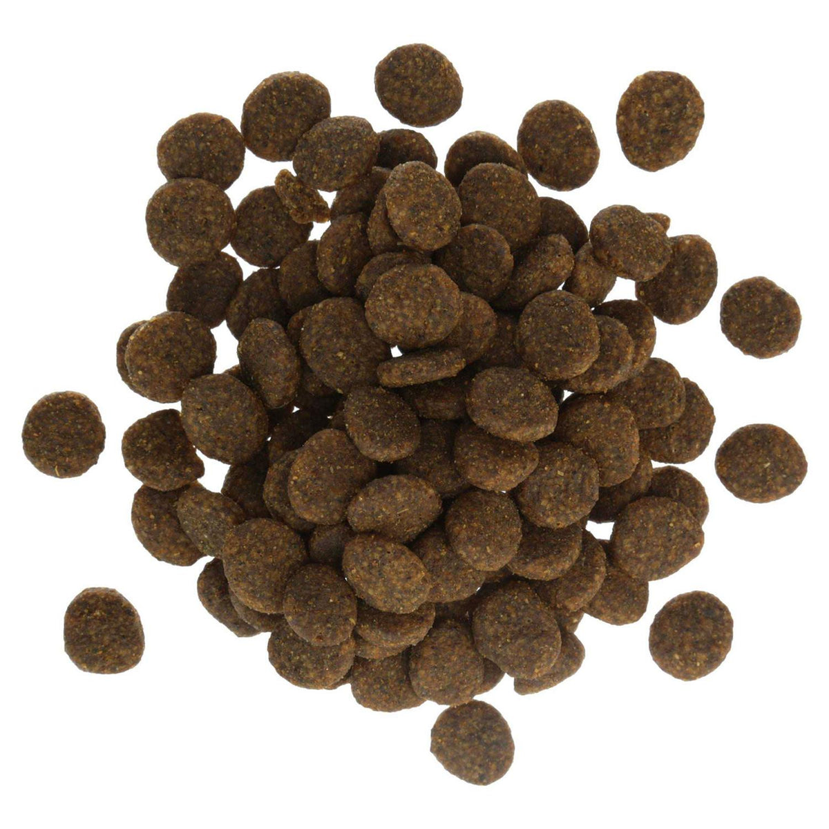 Salmon & Sweet Potato Recipe Dog Food J747531