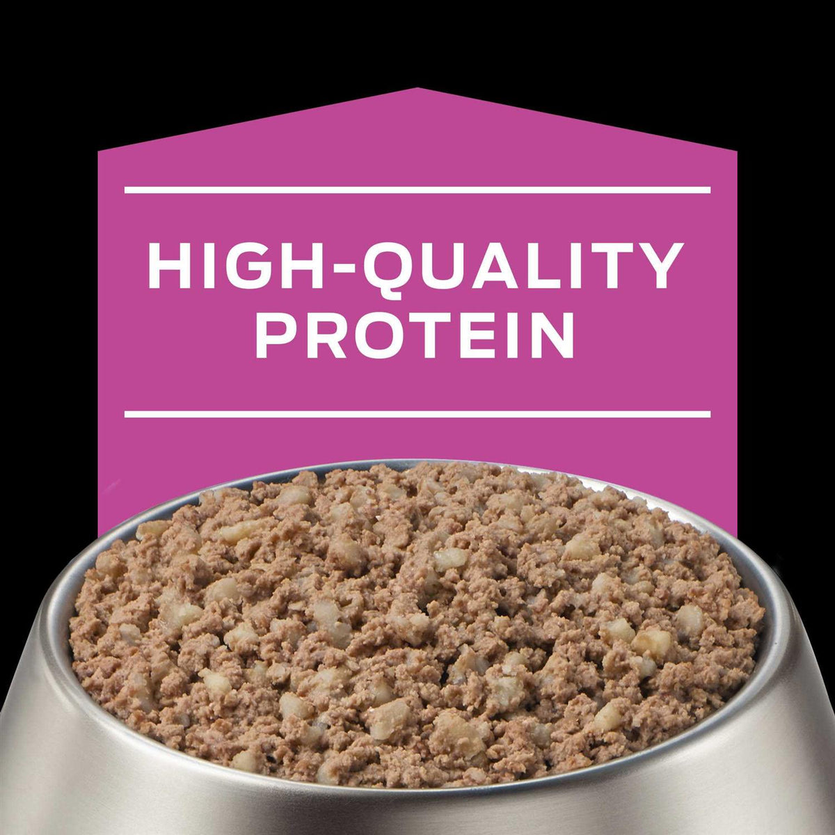 Wet Dog Food Y358