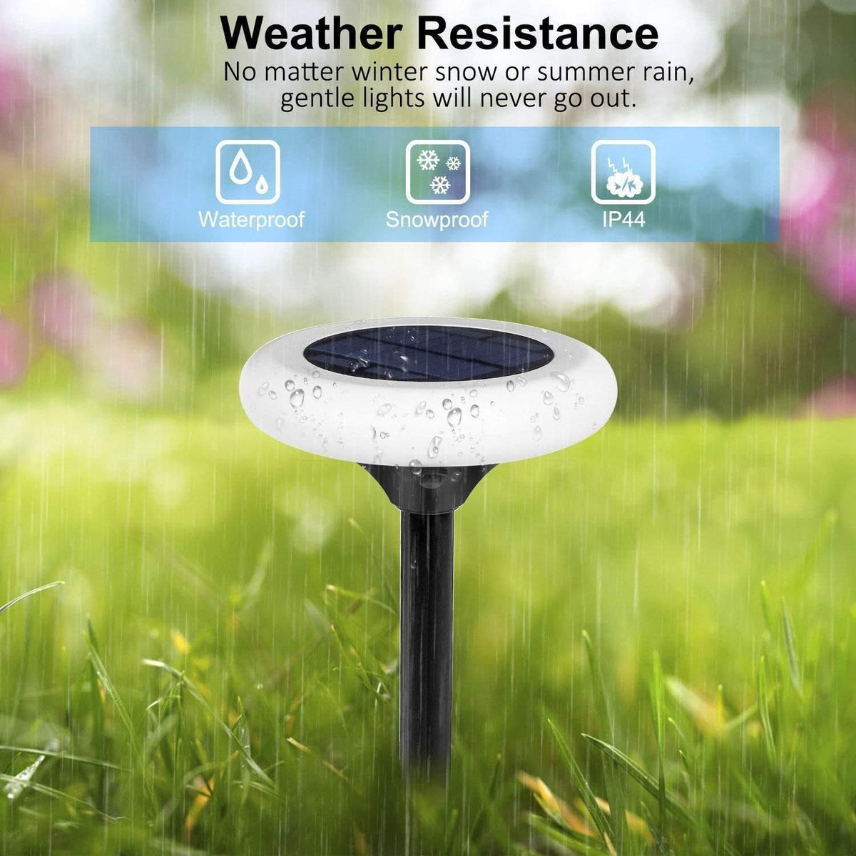 7 Color Solar Pathway Lights (4Pack) K292