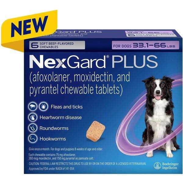 Chew for Dogs I794919