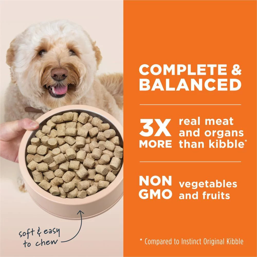 Freeze Dried Raw Grain Free Dog Food 9 Ounce C165854