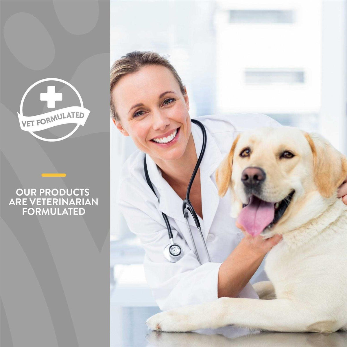 Senior Advanced Joint Health Soft Chews C453