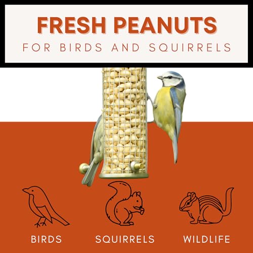 Raw Peanuts for Birds & Squirrels 10lbs Z68873