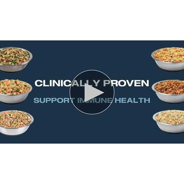 Critical Care Support Fresh Frozen Dog Food O40352