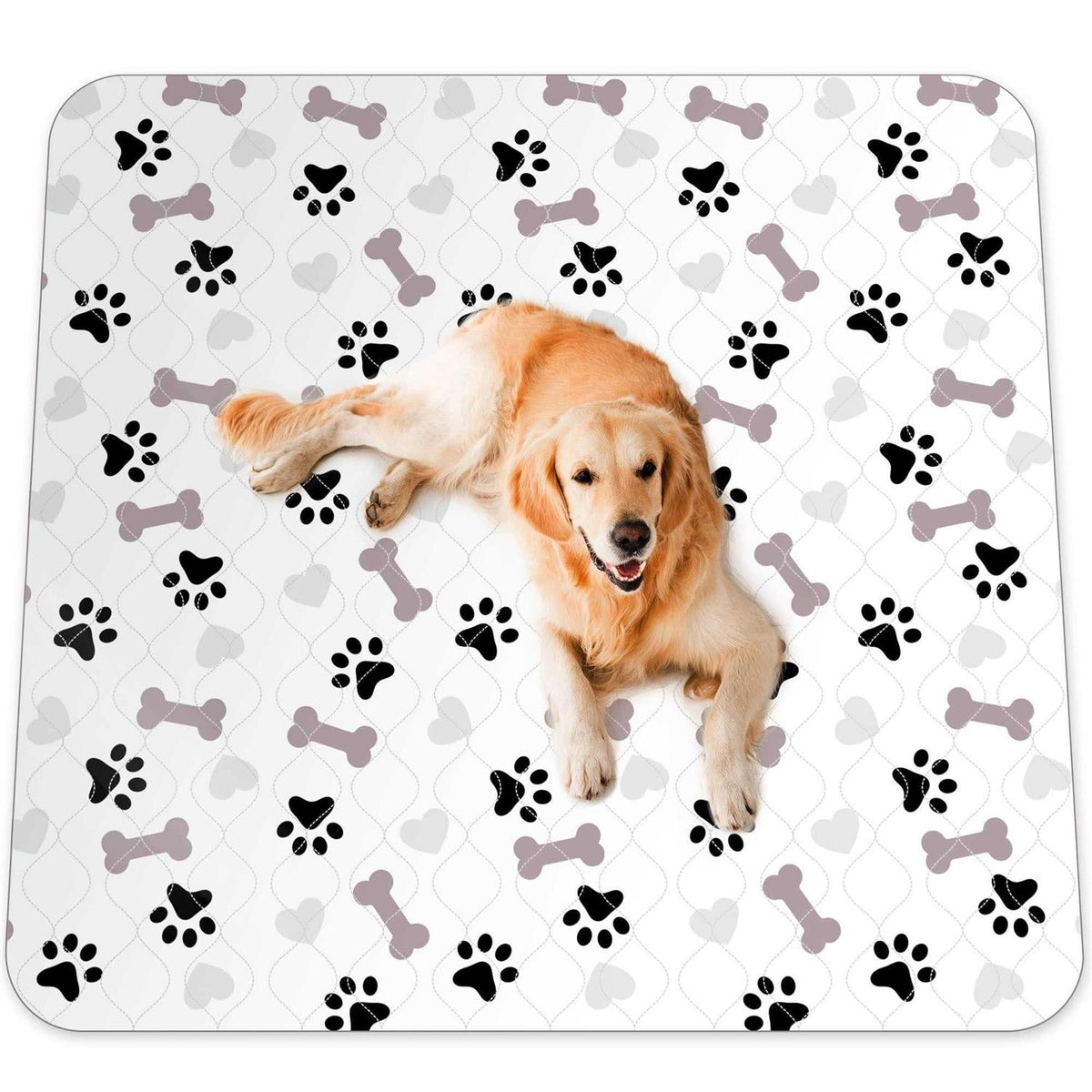 Washable Pee Pads for Dogs Y5362