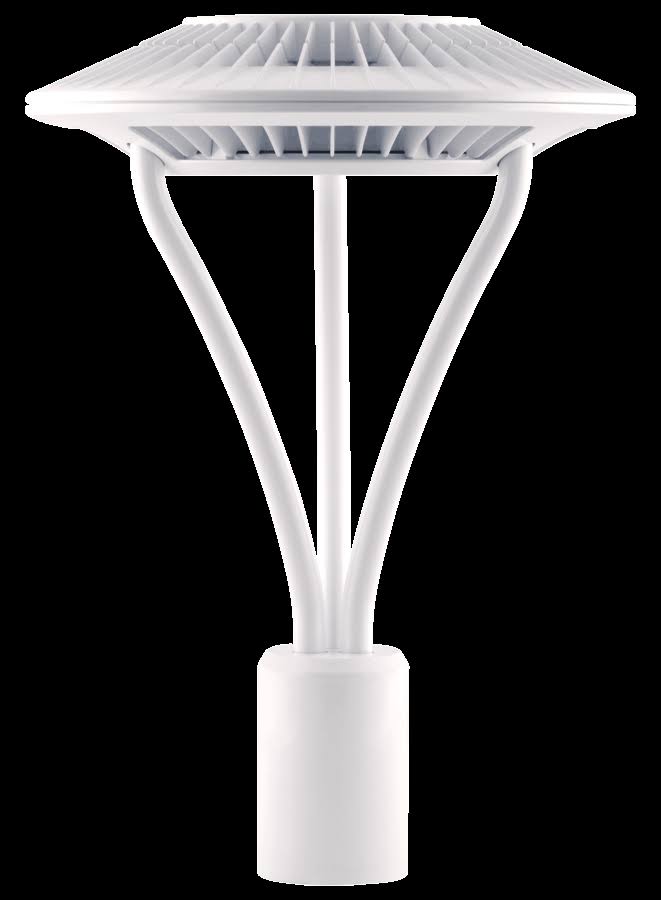 Area Light Post Top 26W Cool 480V LED Type V WH D3450