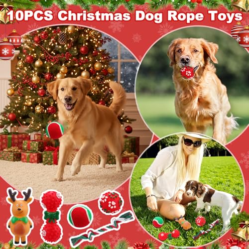 11 Pcs Christmas Catnip Cat Toy Gift Set with Santa Snowman Plush Balls Crinkle Mice C7233