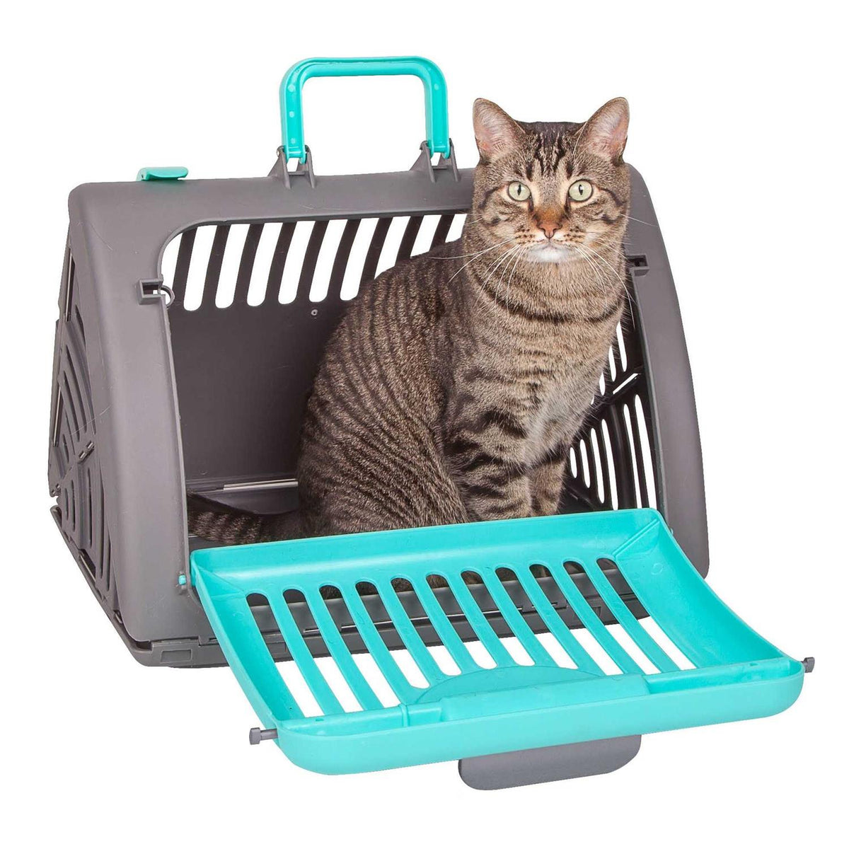 Foldable Travel Cat Carrier Z662996