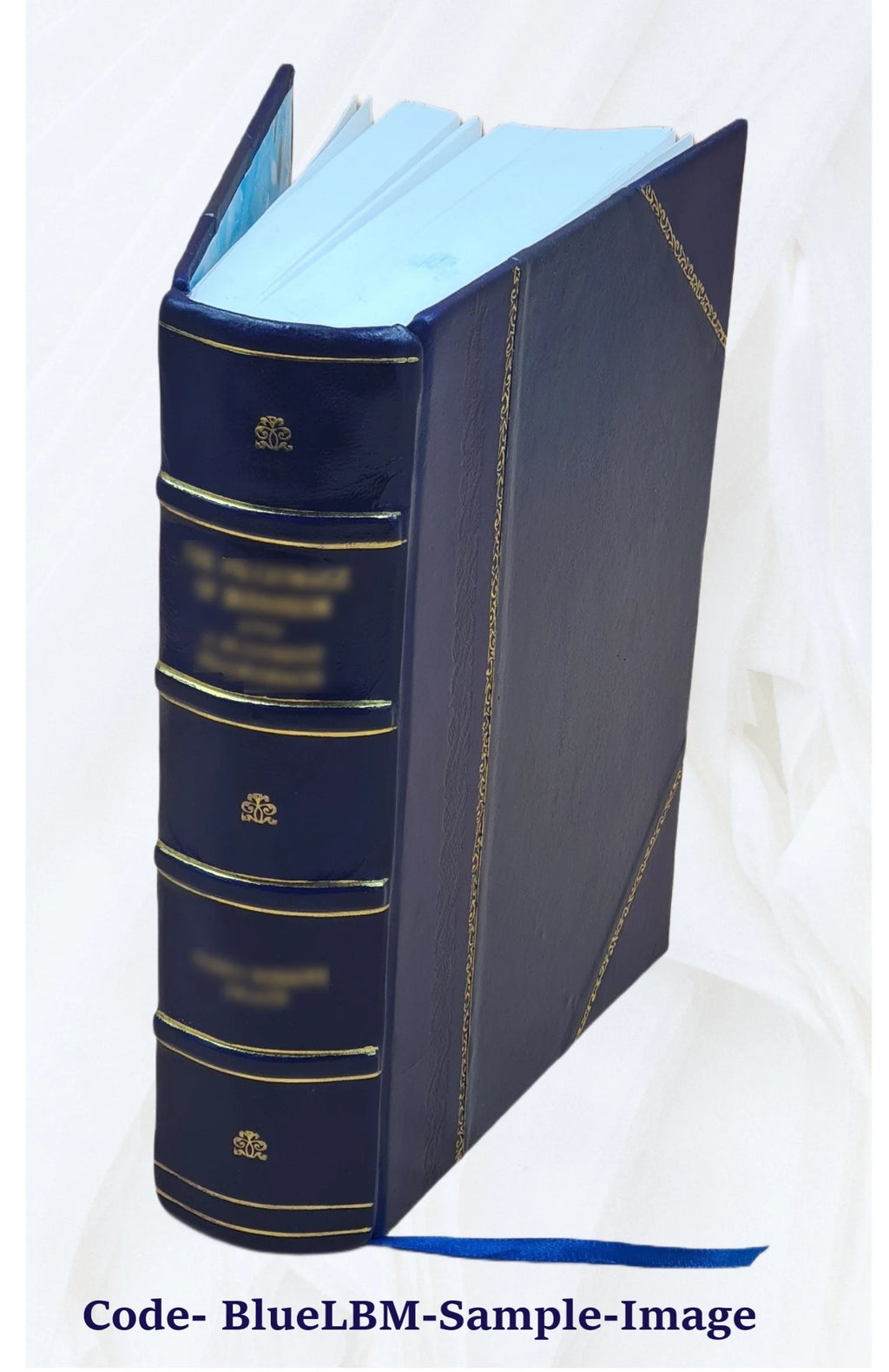 Leather Bound Book Z8957