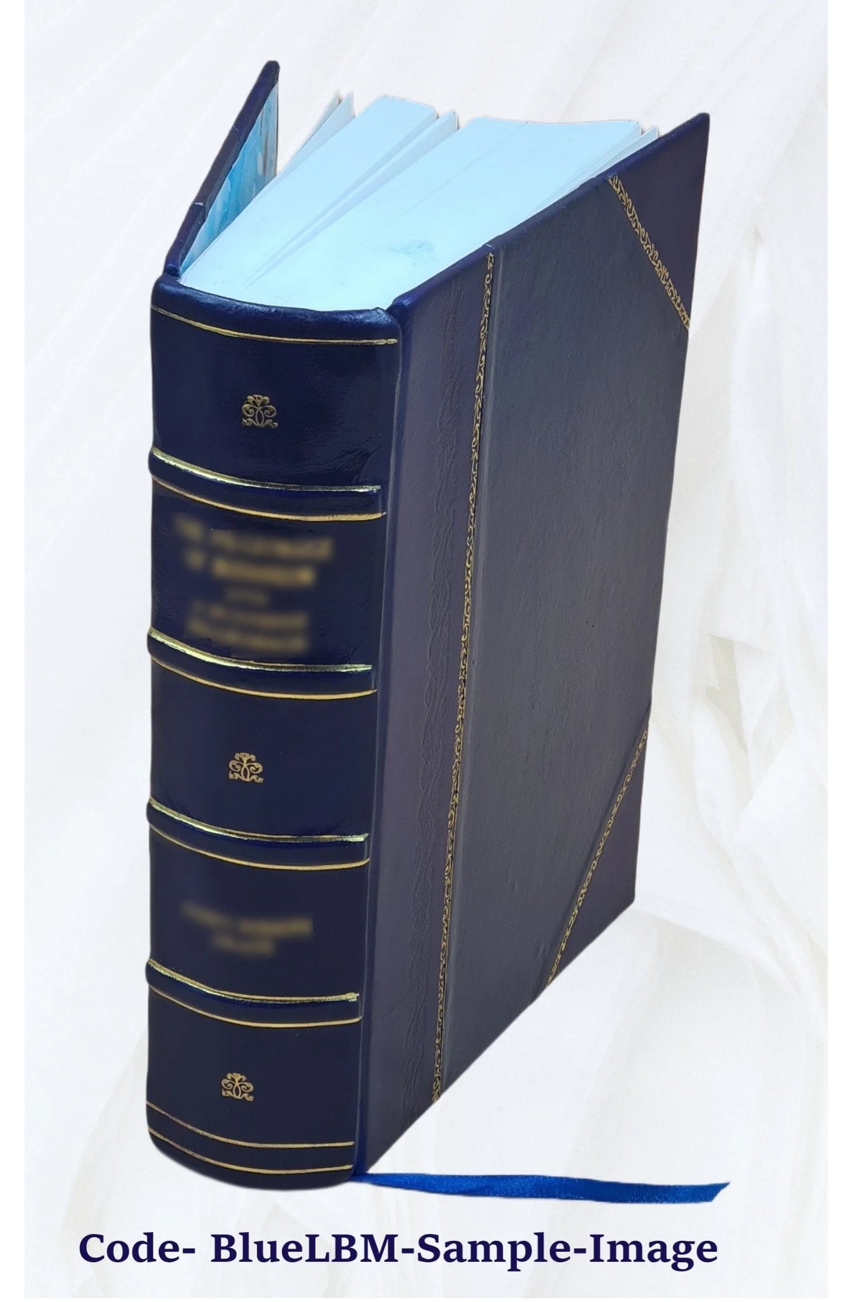 Leather Bound Book Z8957