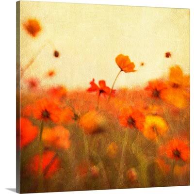 Photographic Print Canvas 35x22 I536817