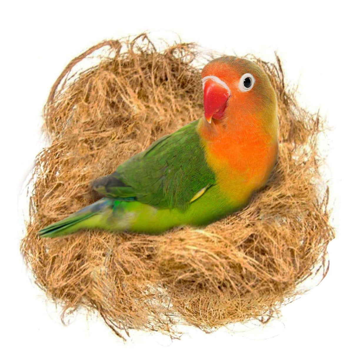 Coconut Fiber Loose Bedding Substrate L474246