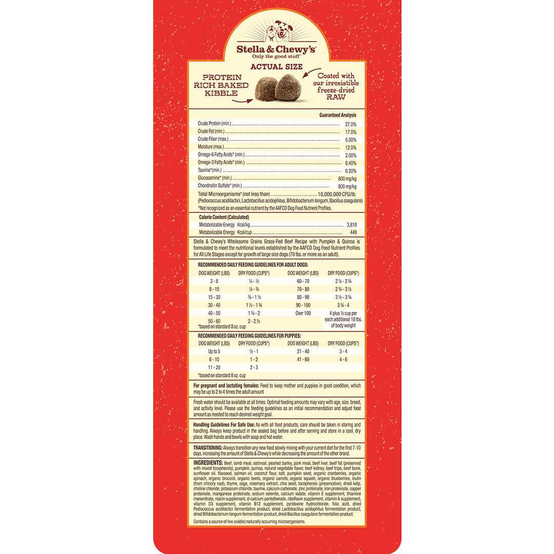Raw Coated Kibble with Wholesome Grains Dog Y991