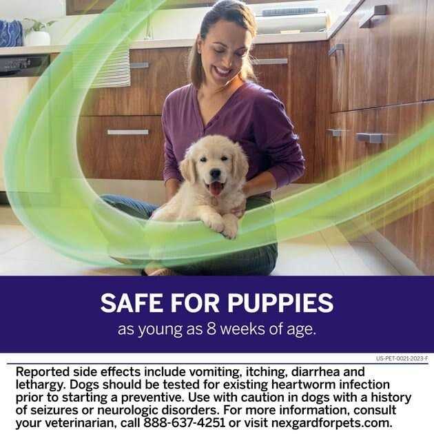 Chew for Dogs I794919
