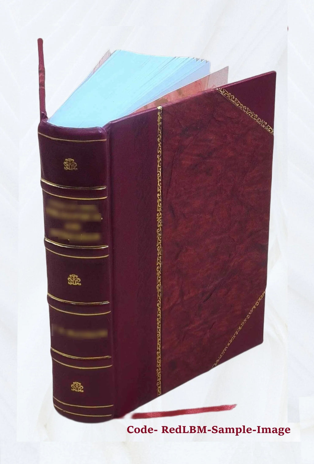 Leather Bound Book Z8957