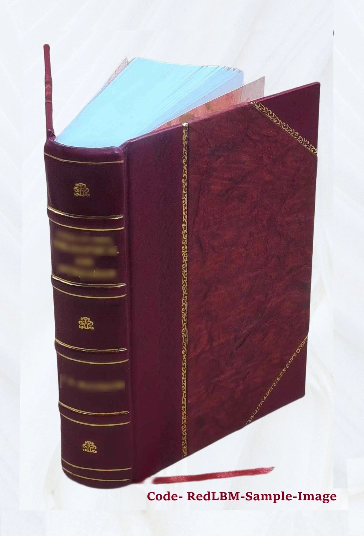 Leather Bound Book Z8957