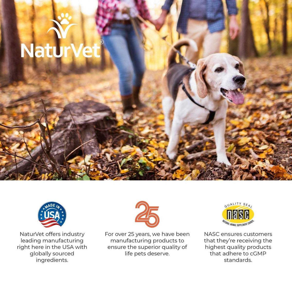 Senior Advanced Joint Health Soft Chews C453