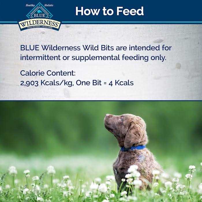 Dog Treats J1451