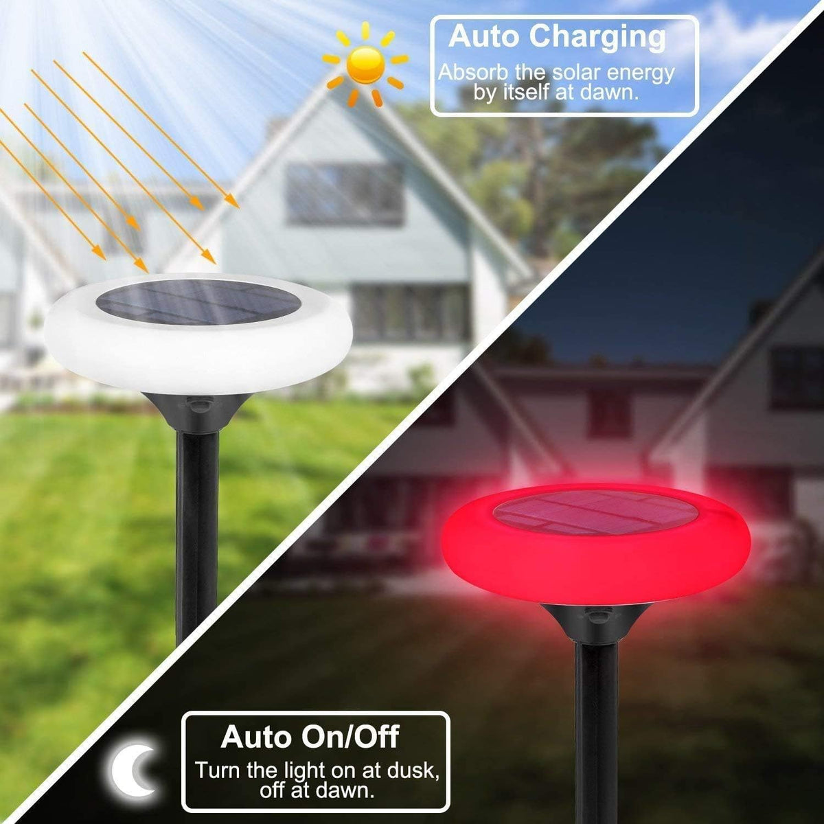7 Color Solar Pathway Lights (4Pack) K292