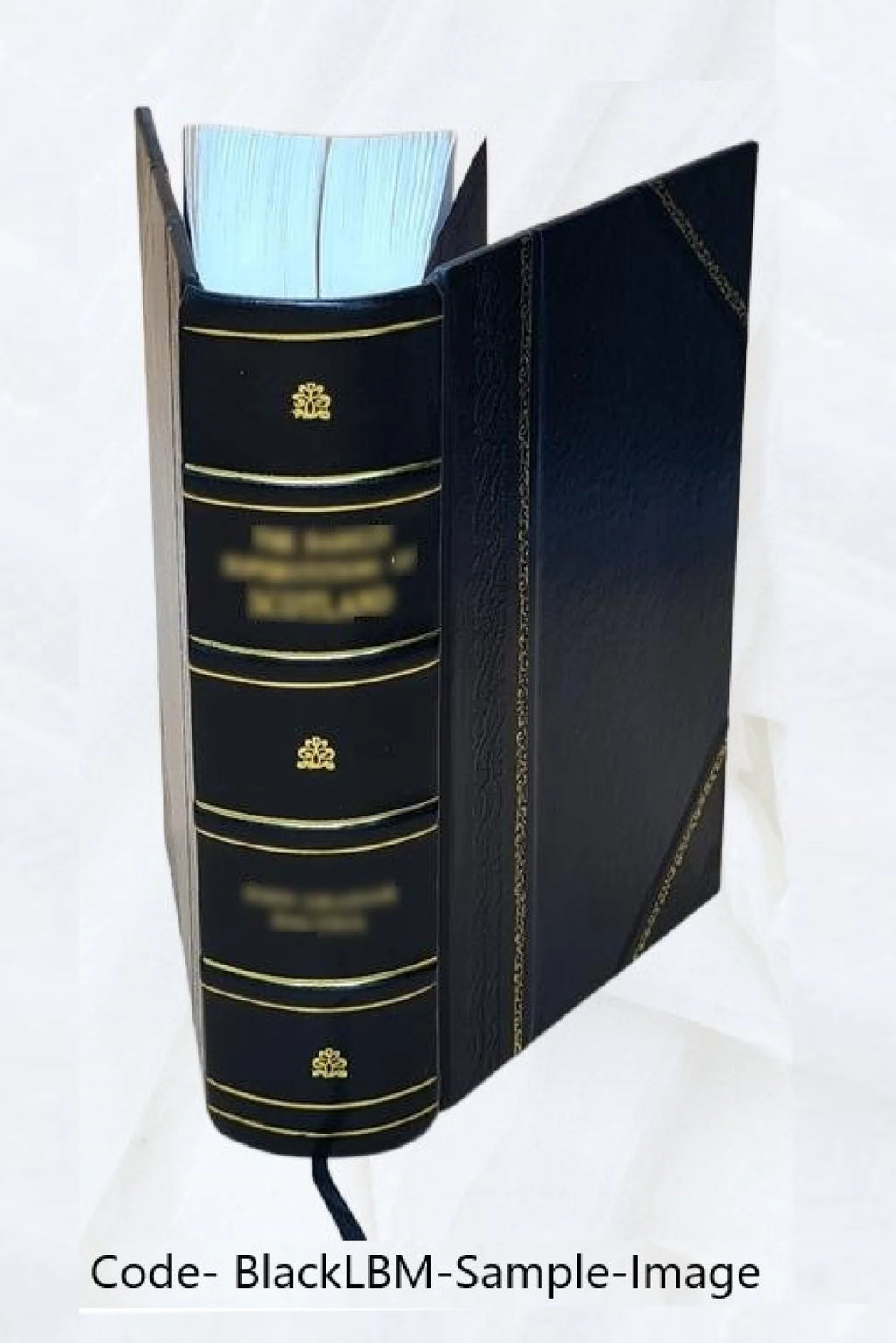 Leather Bound Book Z8957