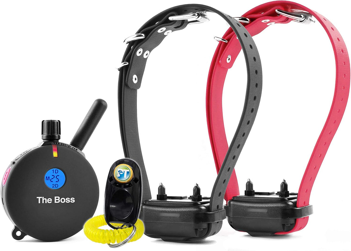 Rechargeable Remote Waterproof Trainer for Two Dogs with Dog Training Clicker A854
