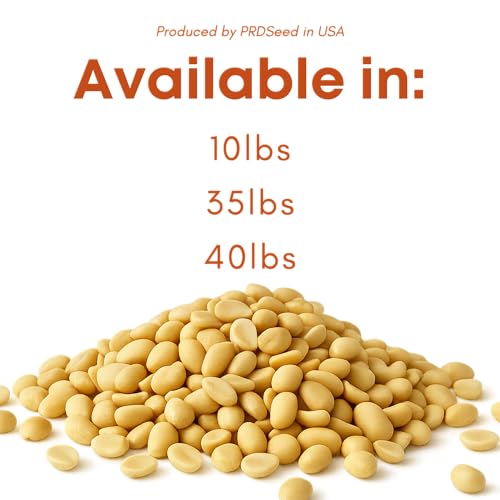 Raw Peanuts for Birds & Squirrels 10lbs Z68873