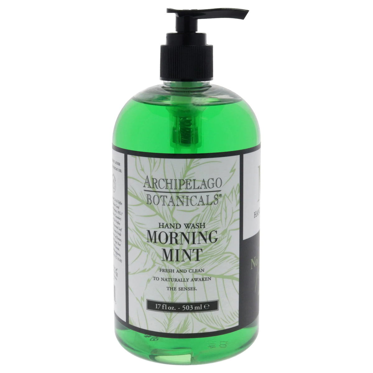 17 oz Hand Wash A502155
