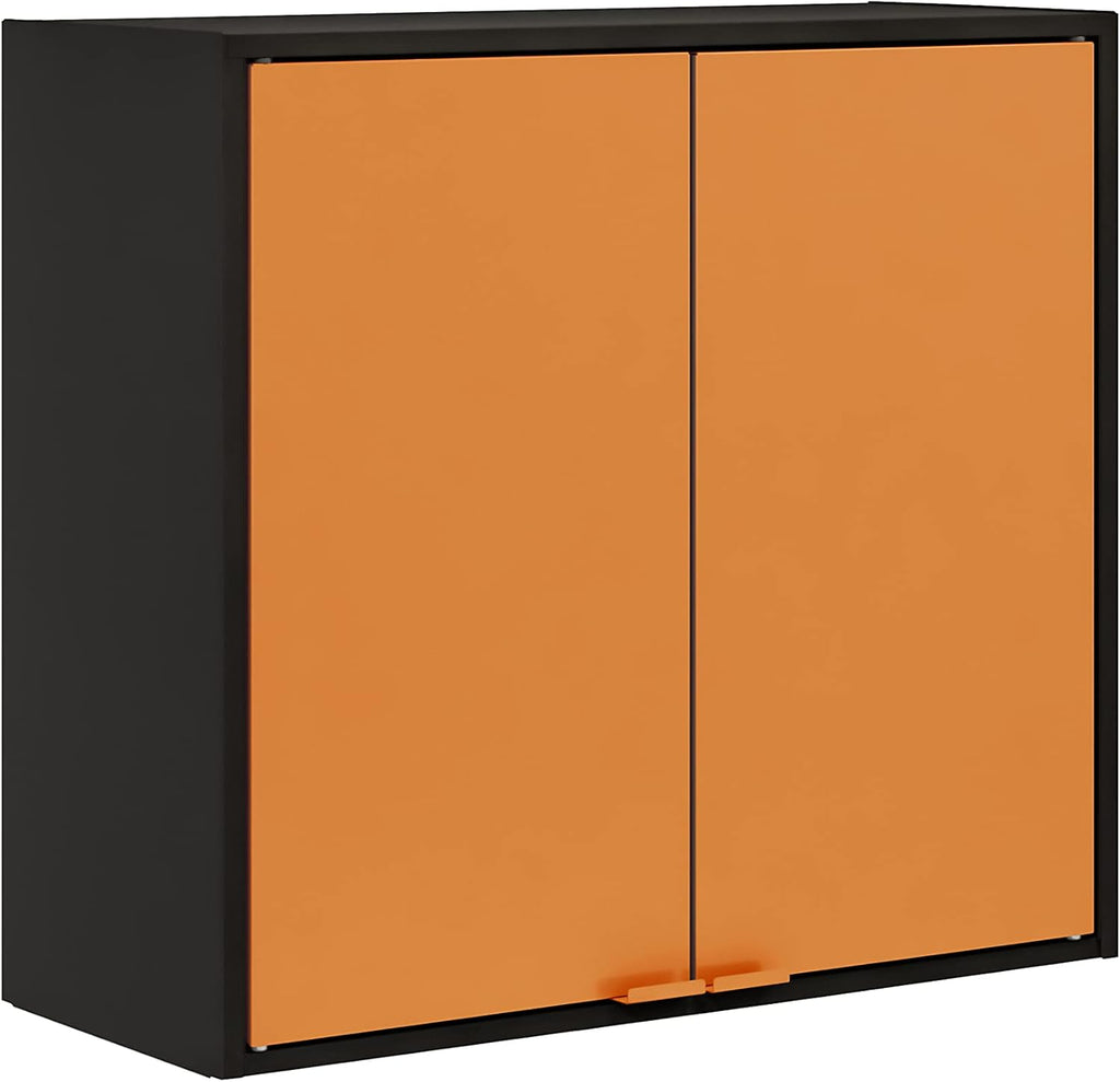 Blue Steel Wall Cabinet H201