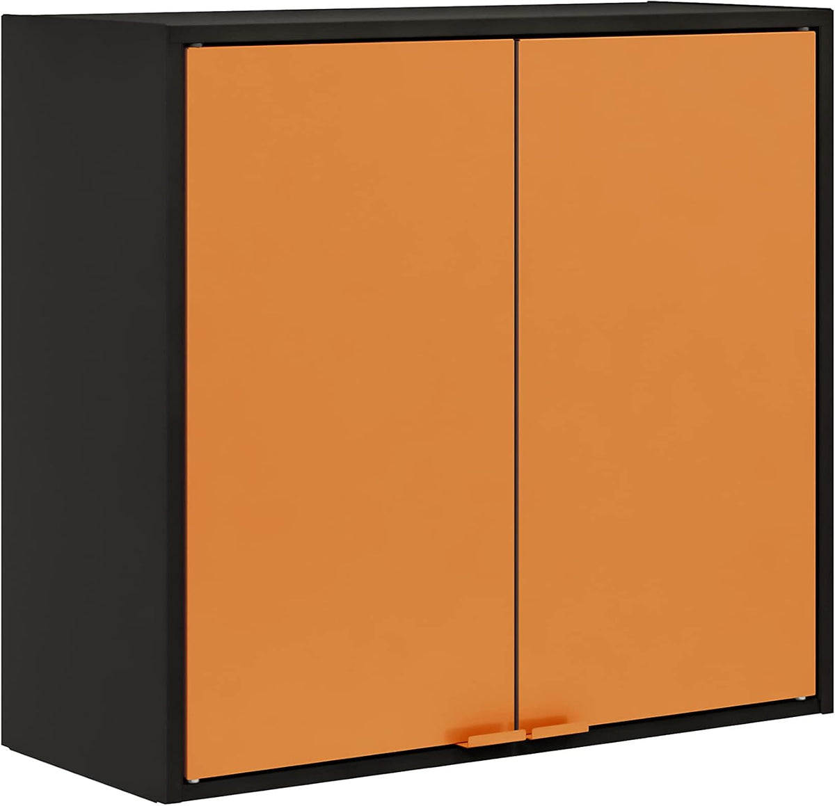 Blue Steel Wall Cabinet H201