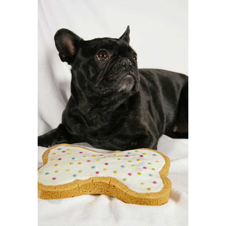 Dog Birthday Kit with Sprinkles M601