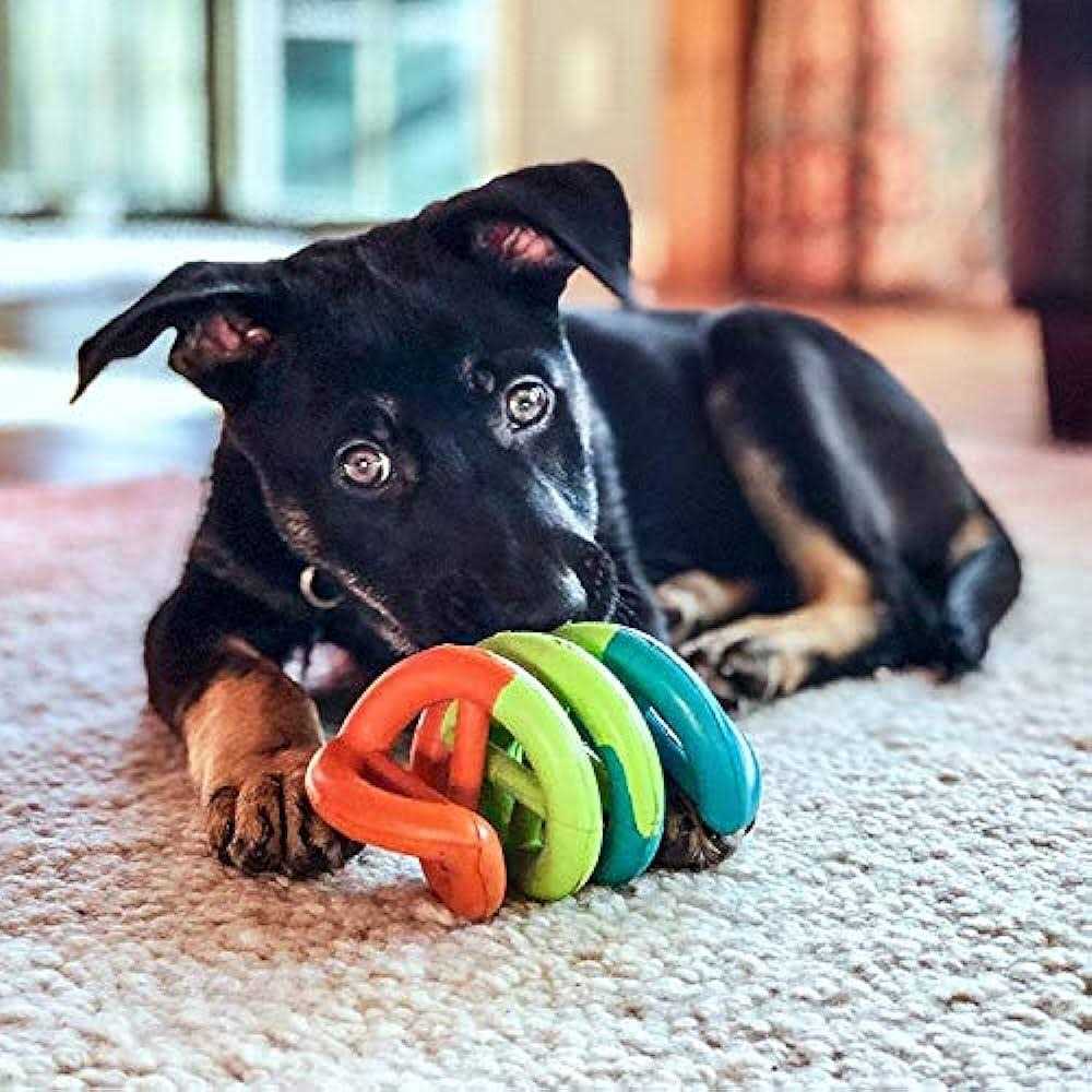 Dog Toy O9710