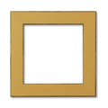 Mustard 1.25x22 Frame N8574