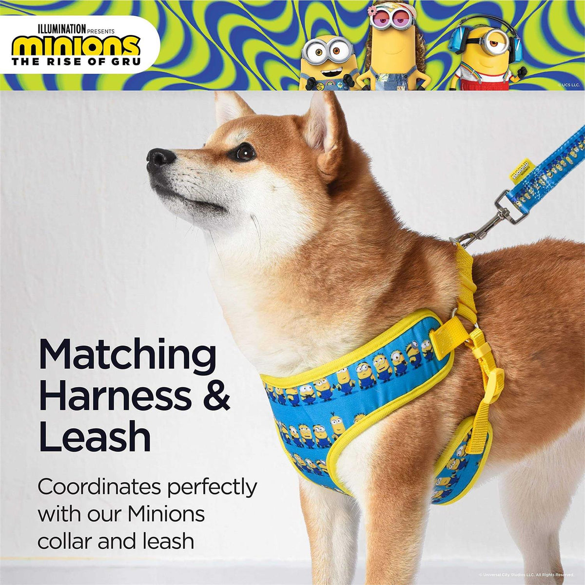 Blue Mesh No-Pull Dog Harness B65627