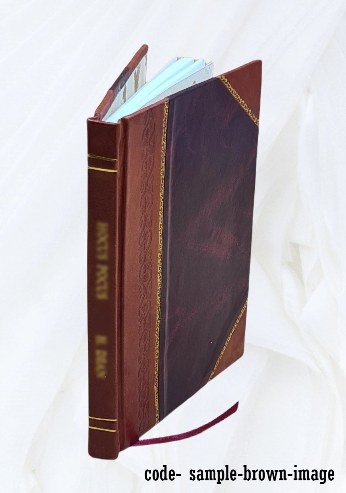 Leather Bound Book X56221